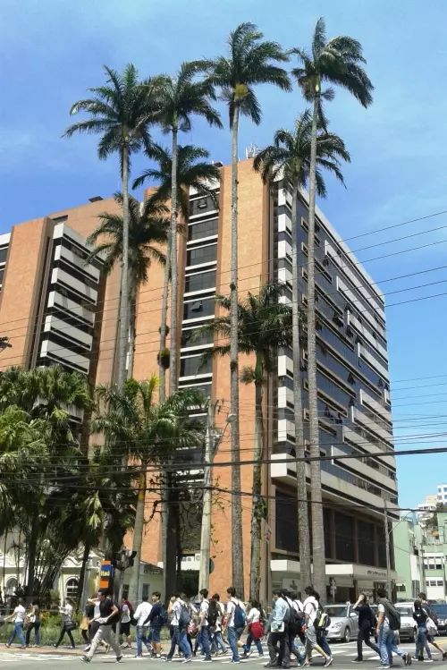 Aloísio Hofer Begrow-0