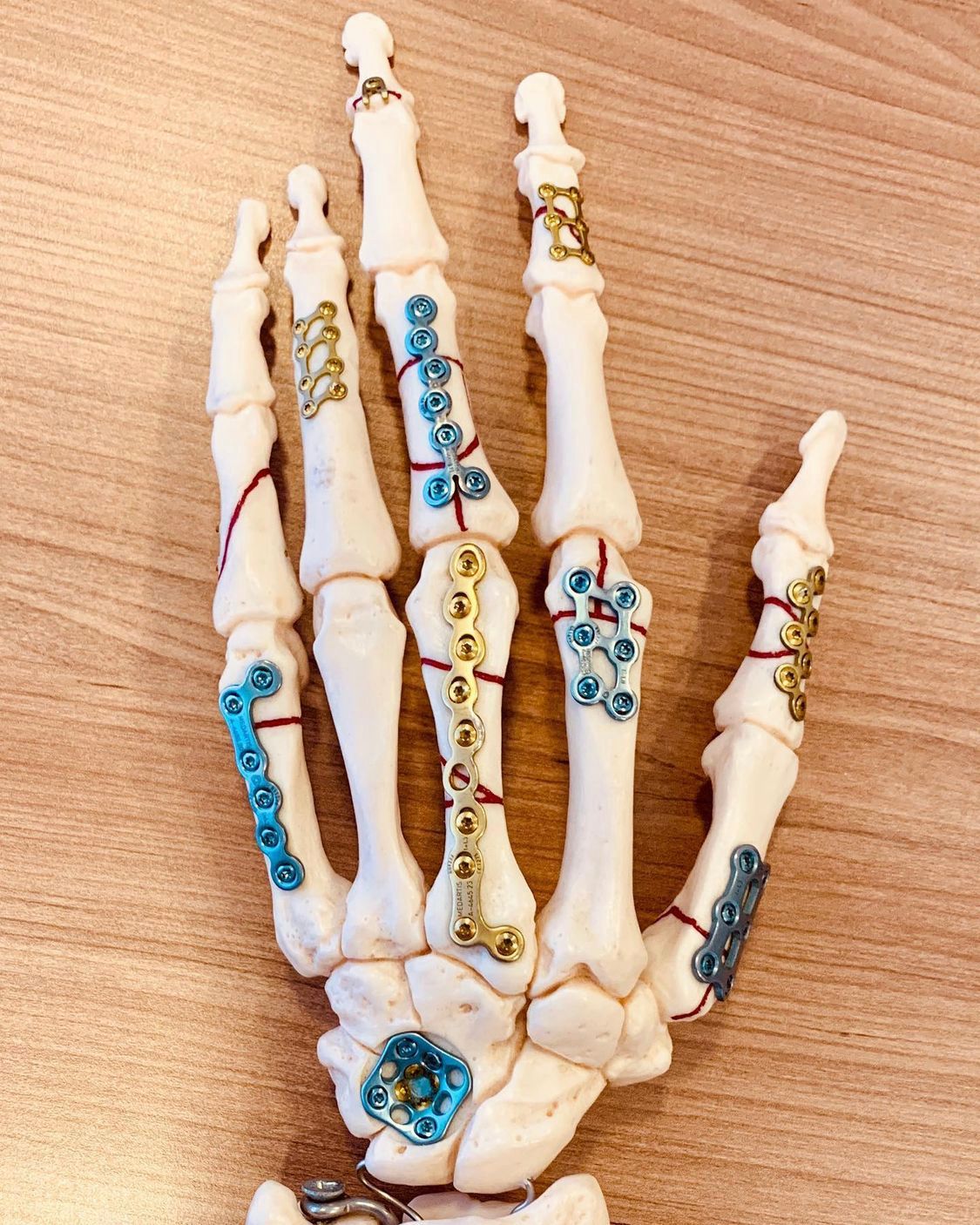 Diego Rezende Martins-3