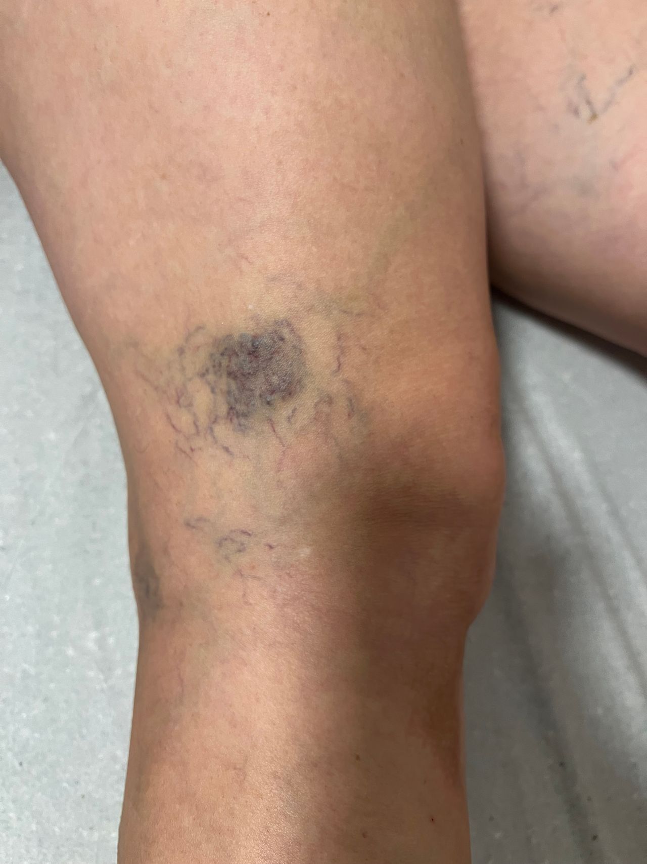 Claudia Stein Gomes-11