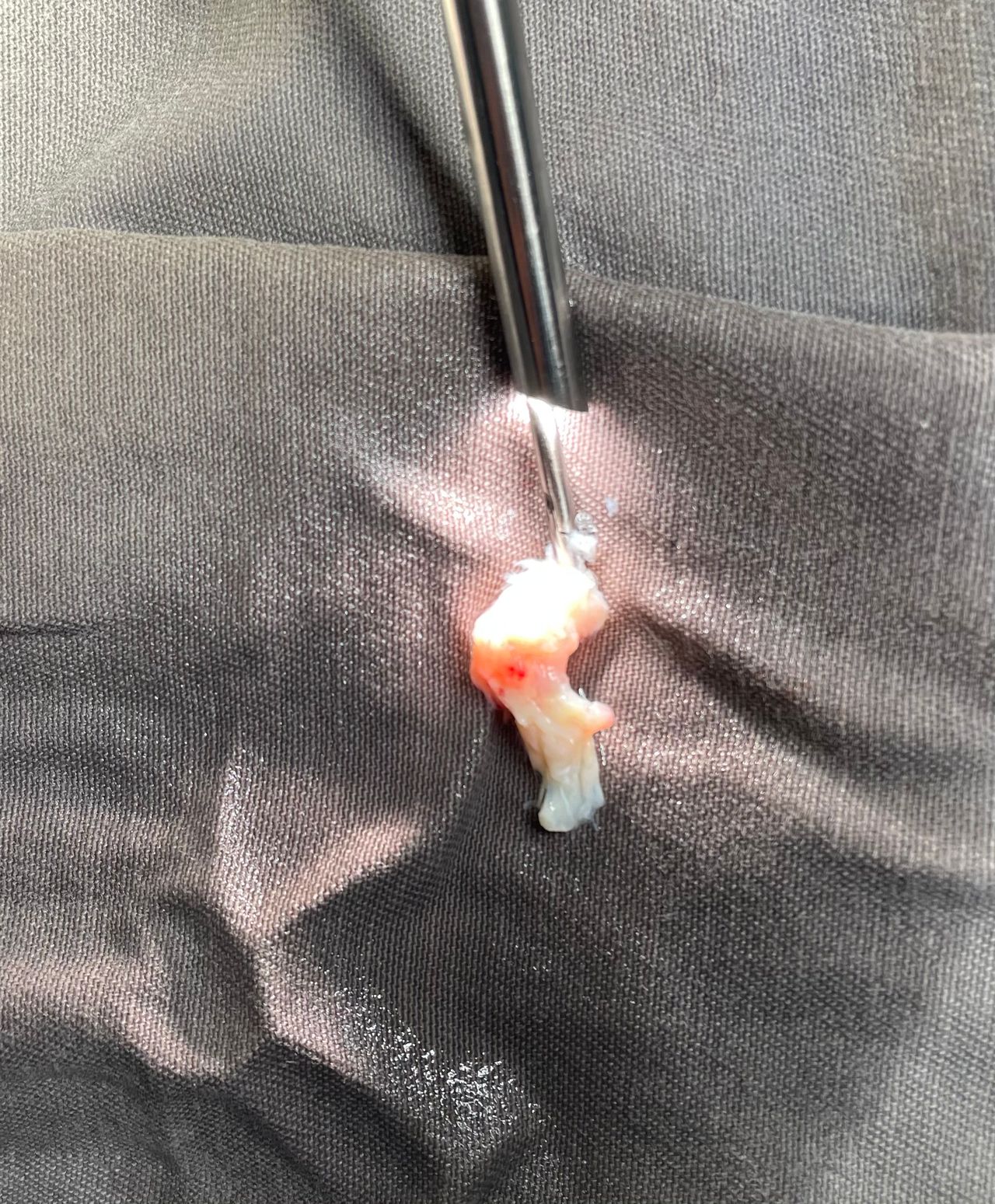 Gabriel Moretti Domingues-18