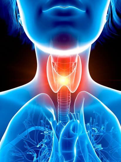 Maria Tereza Matias Baptista-4