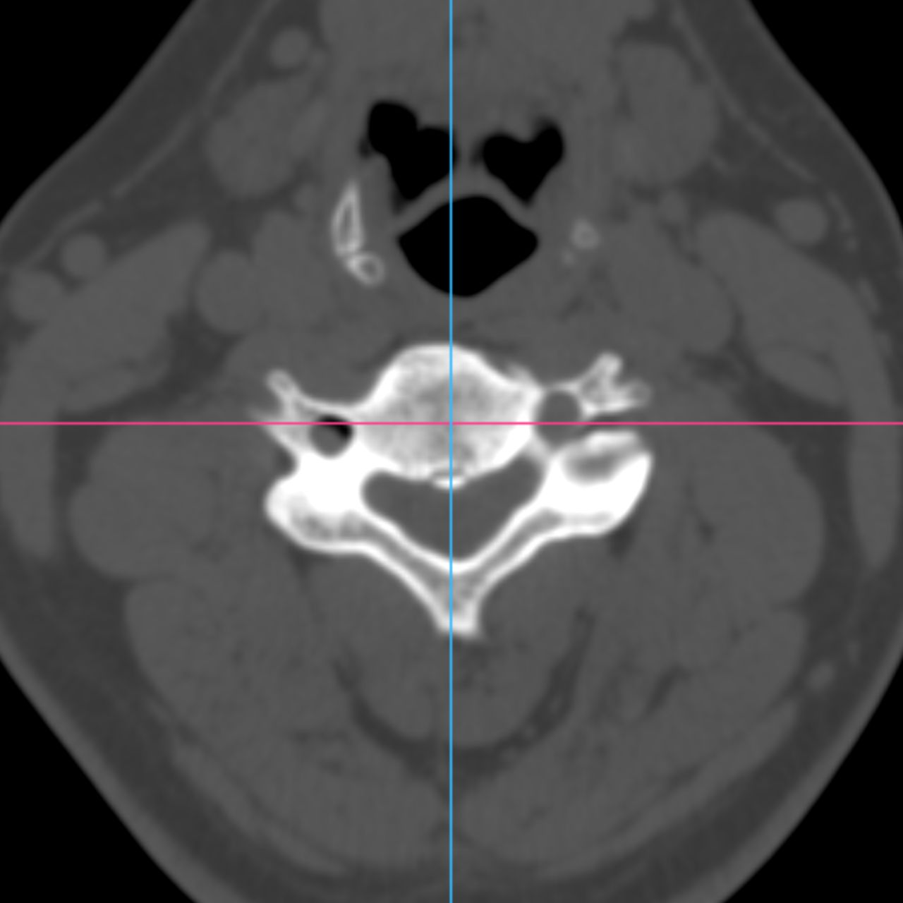 David Tafur Muñoz-2205