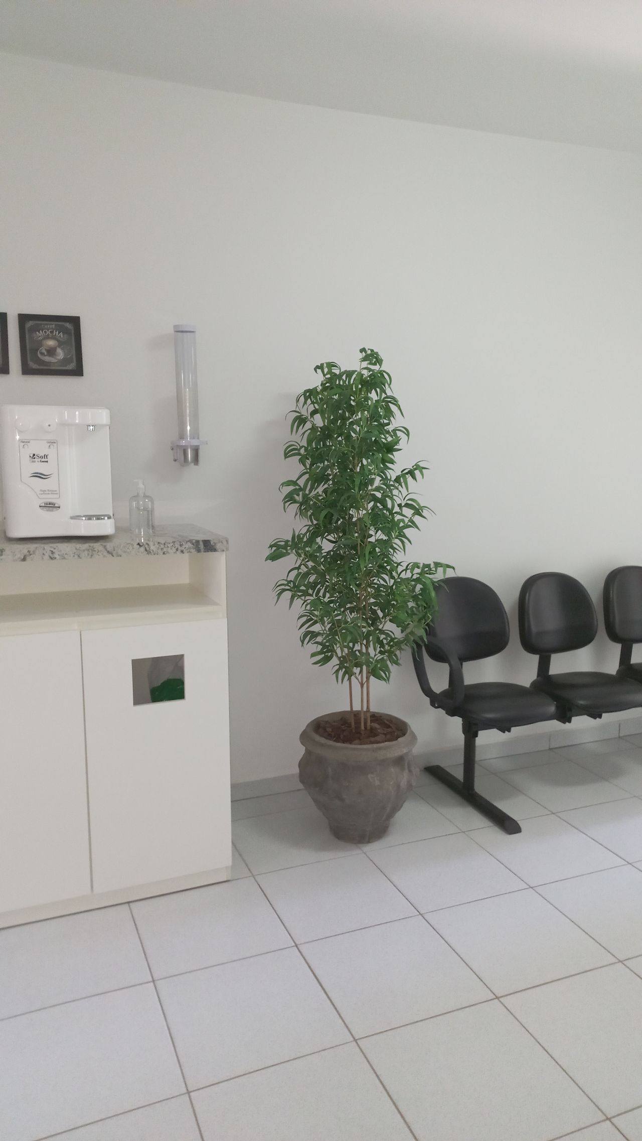 Adriana Valim Portes-3