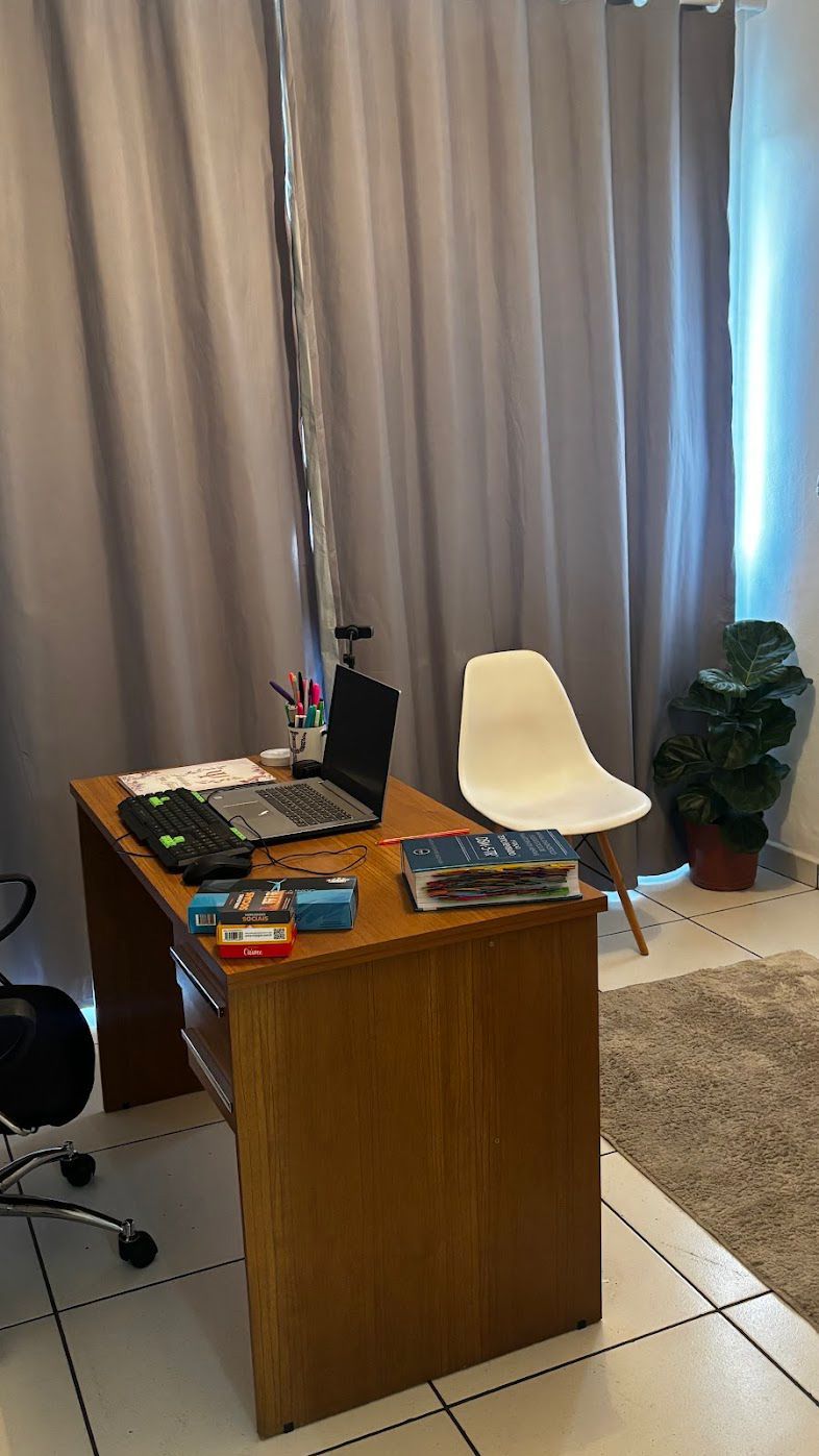 Ana Flávia Gonçalves Dos Santos-2