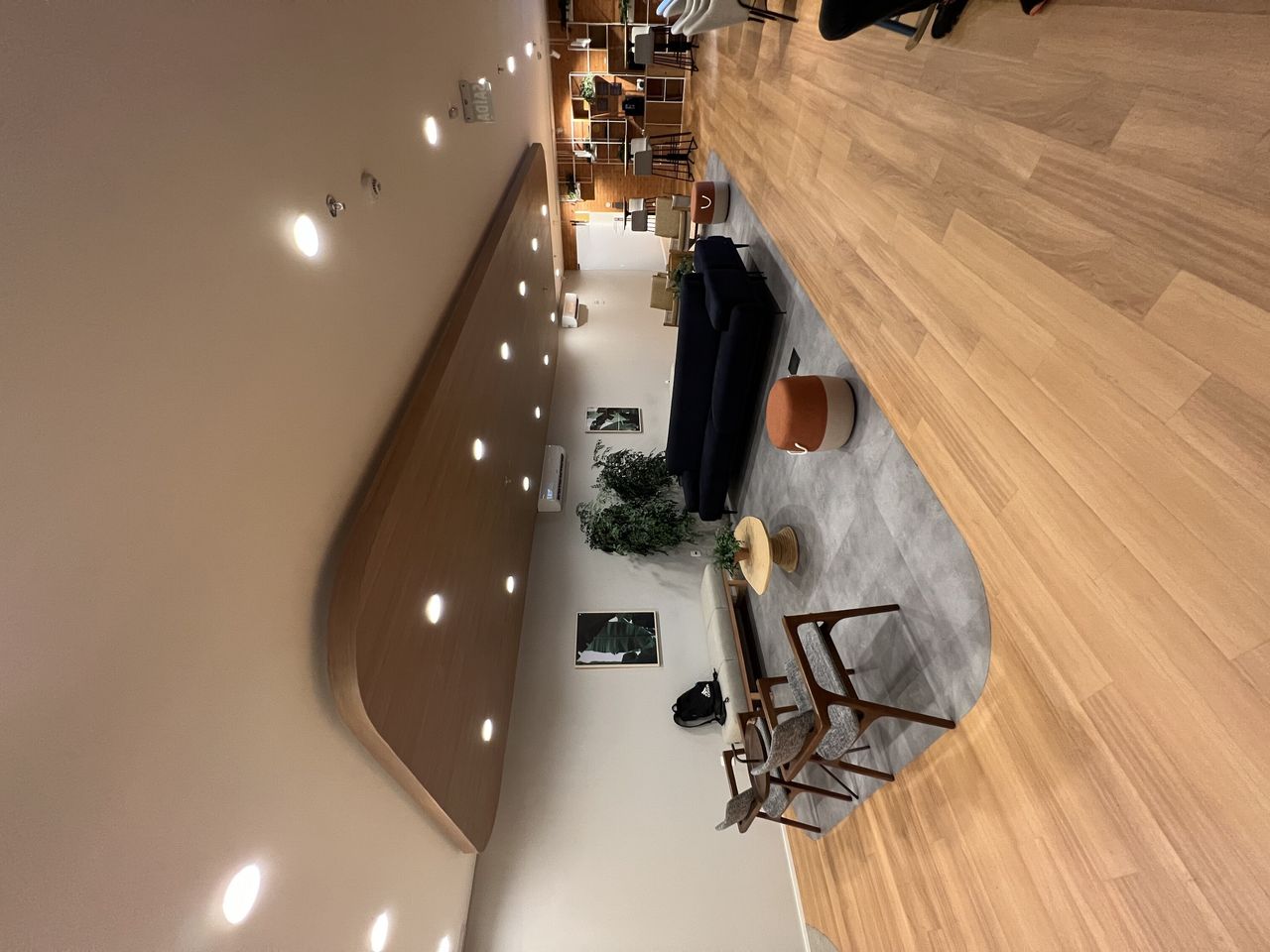 Thelia Rubia Moreira Dias De Castro-5