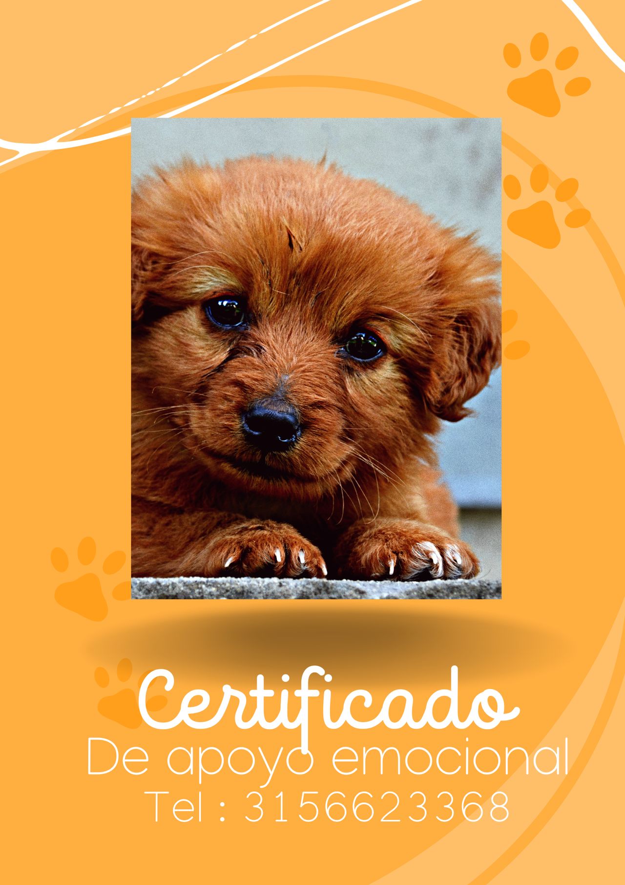 Juan Manuel Amado Martínez-63