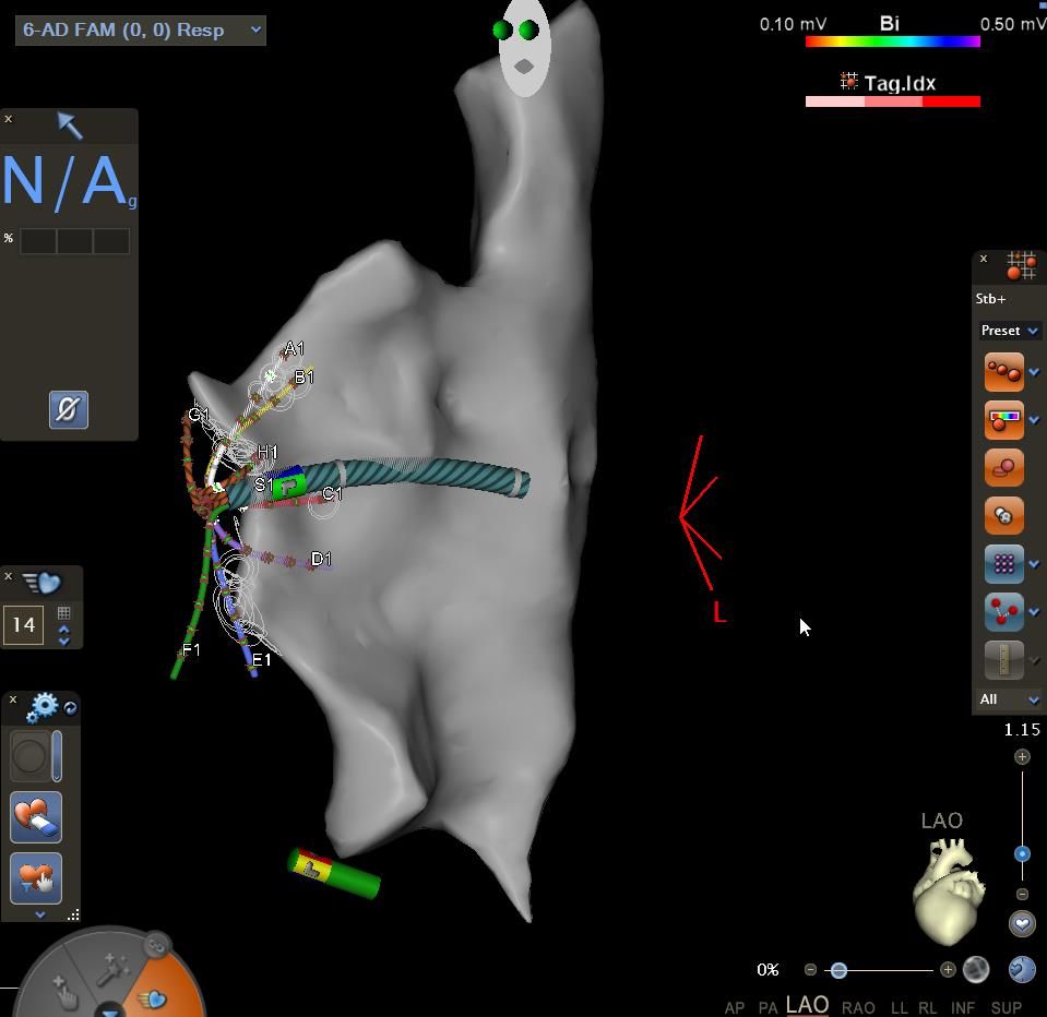 Vitor Bastos Lovisi-3