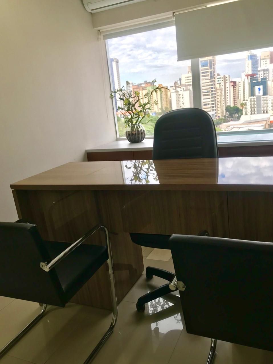 Isabella Faleiro Vieira-2