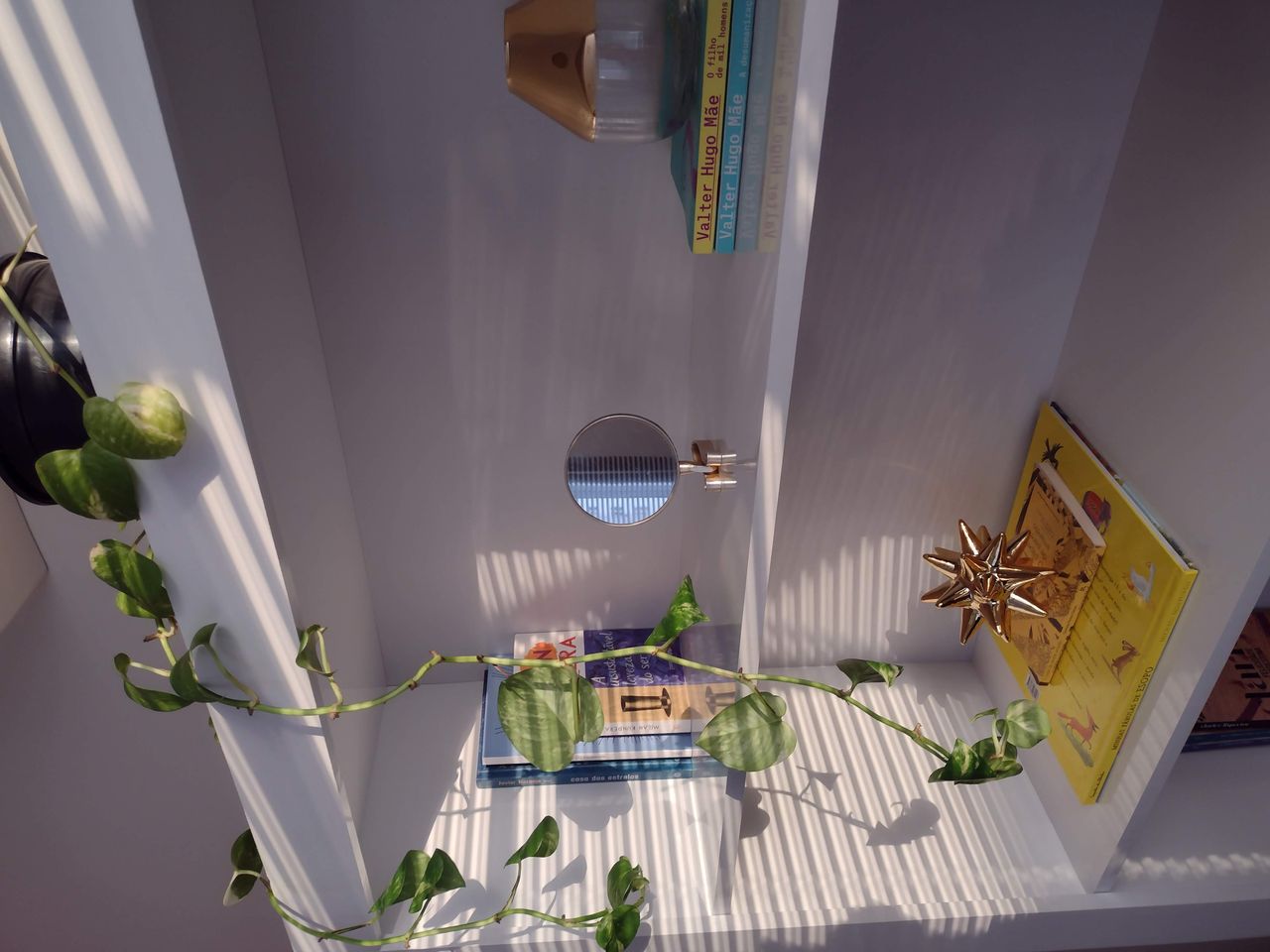 Eloisa Sobh Ambrosio-4