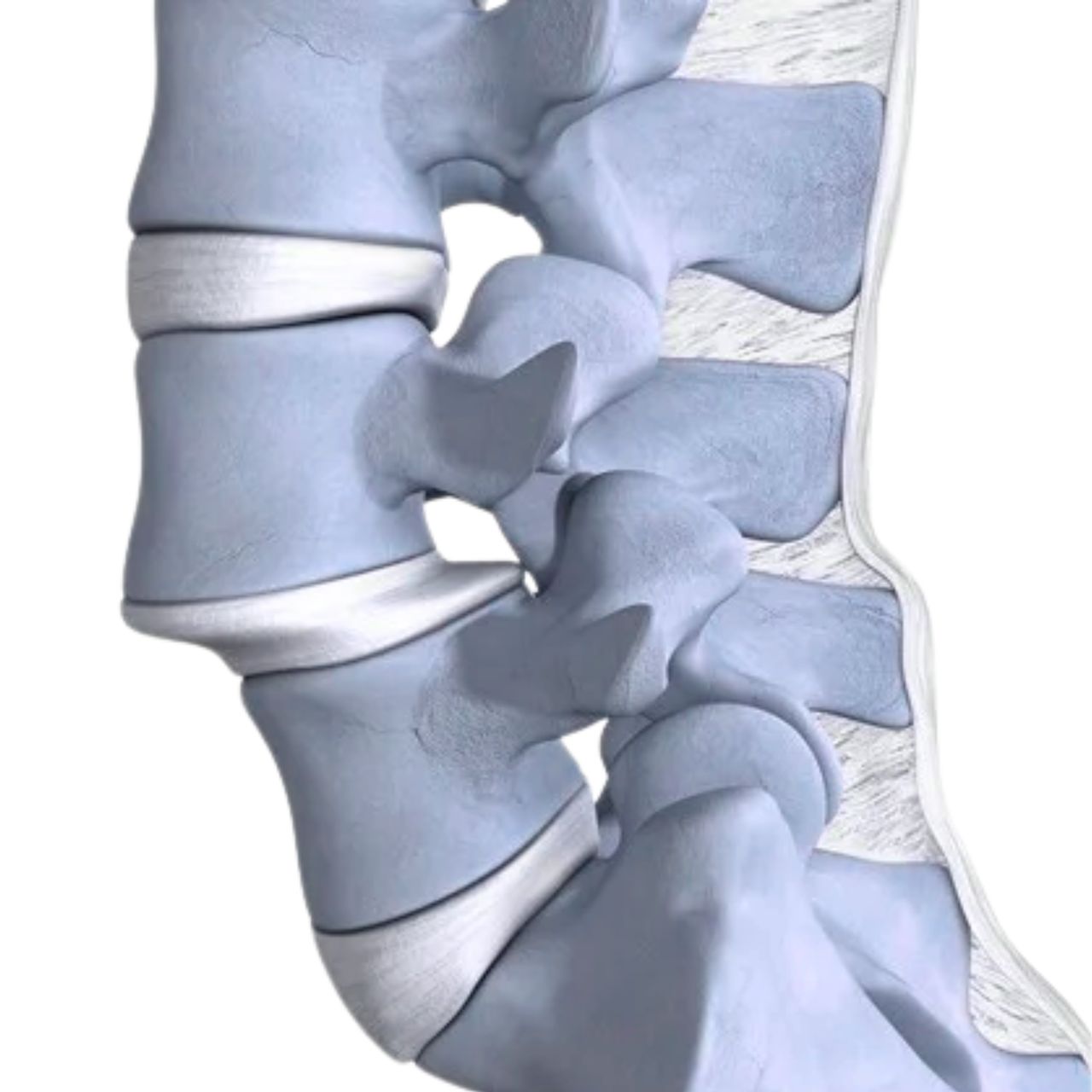 David Tafur Muñoz-1296