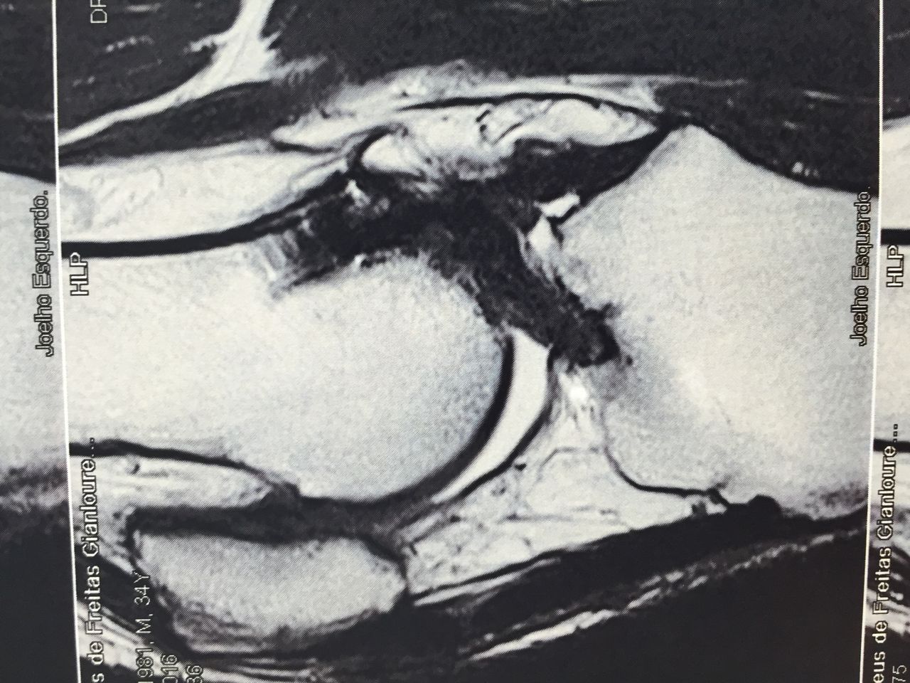 Alexandre Terruggi Jr-6