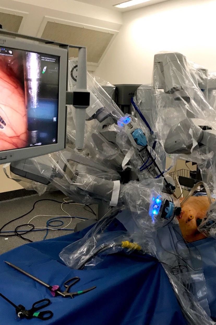 Felipe Machado De Moura Costa-20