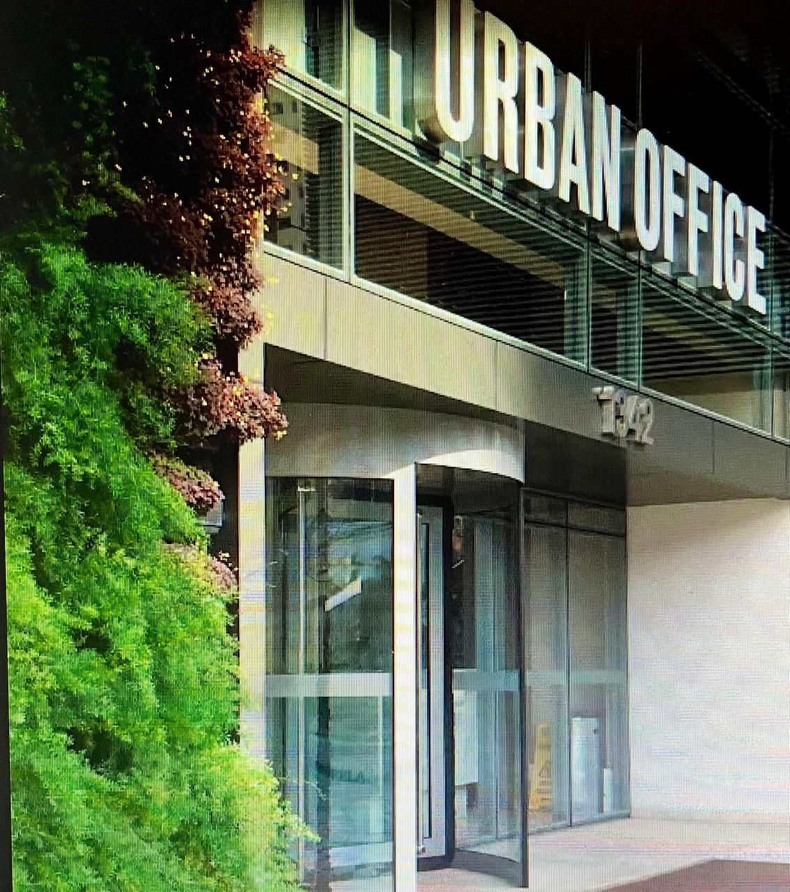 Alexandre T. Bignelli-7