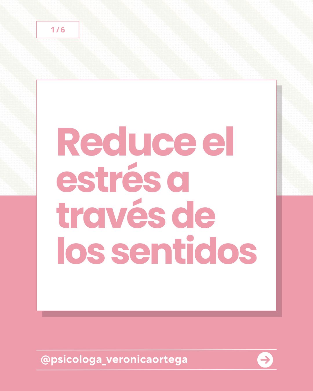 Diana Verónica Ortega Larraniaga-11