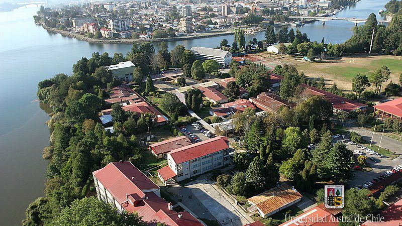 Vicente Marchant Sierra-0