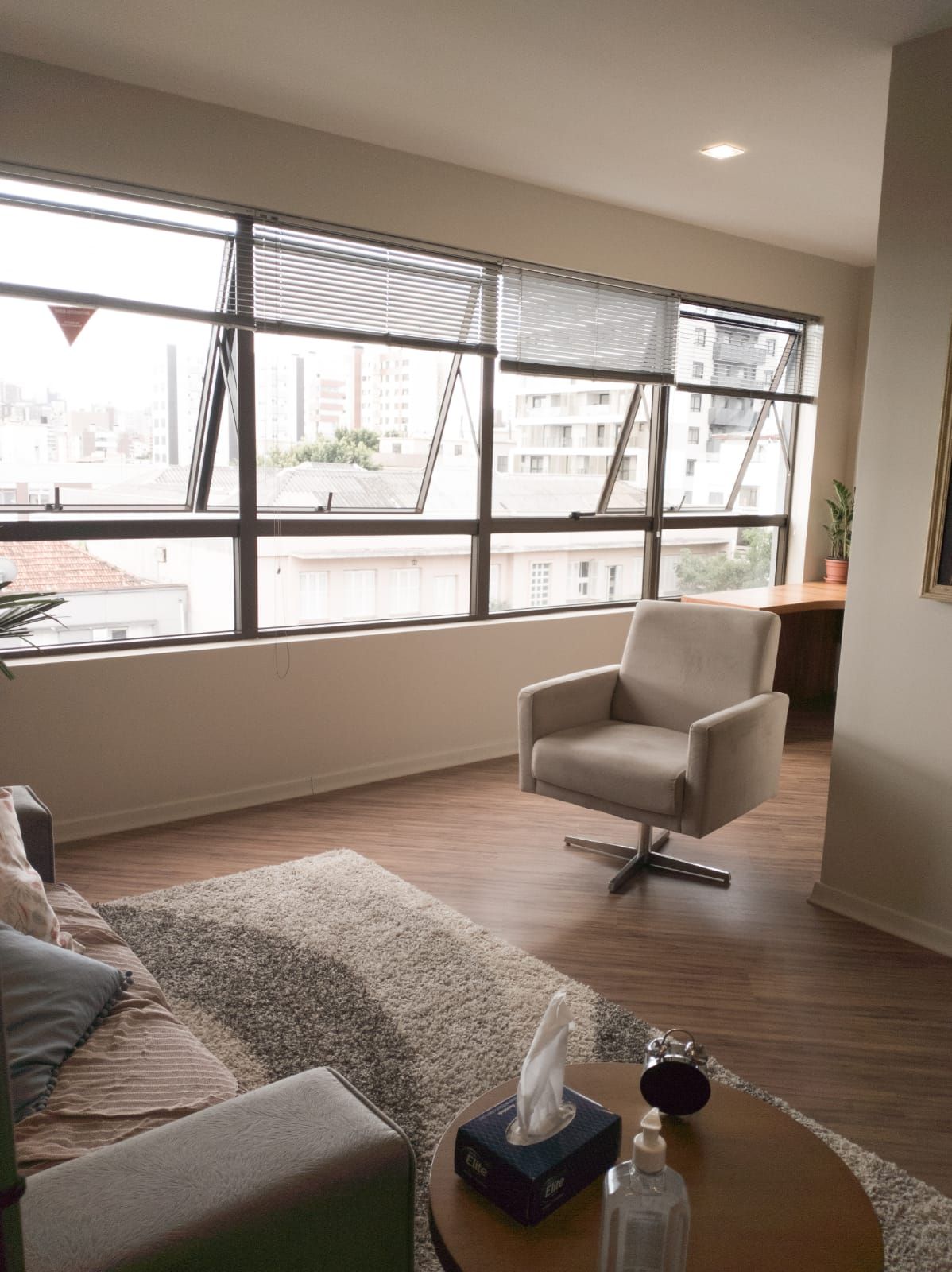 Gabriela Assis Brasil-2