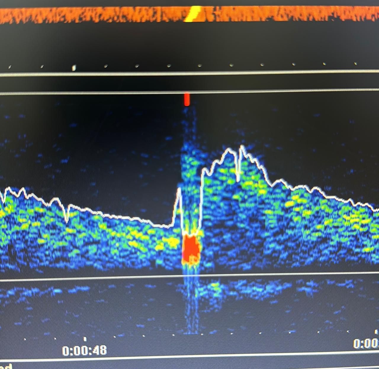 Sinval Leite Carrijo Filho-4
