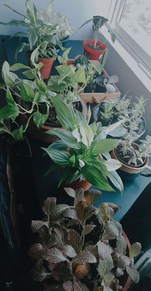 Victor Hugo Basilio-1