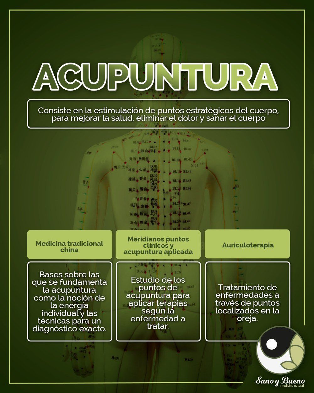 Guillermo Portugal-15