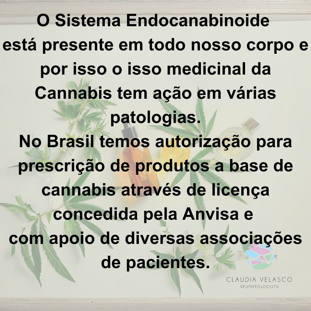 Claudia Rodrigues De Velasco-6