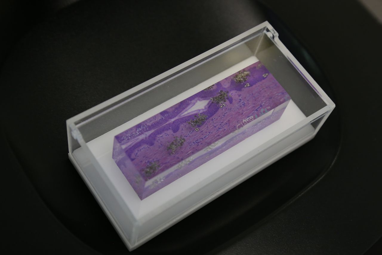 Dariela Capacho Estrada-7