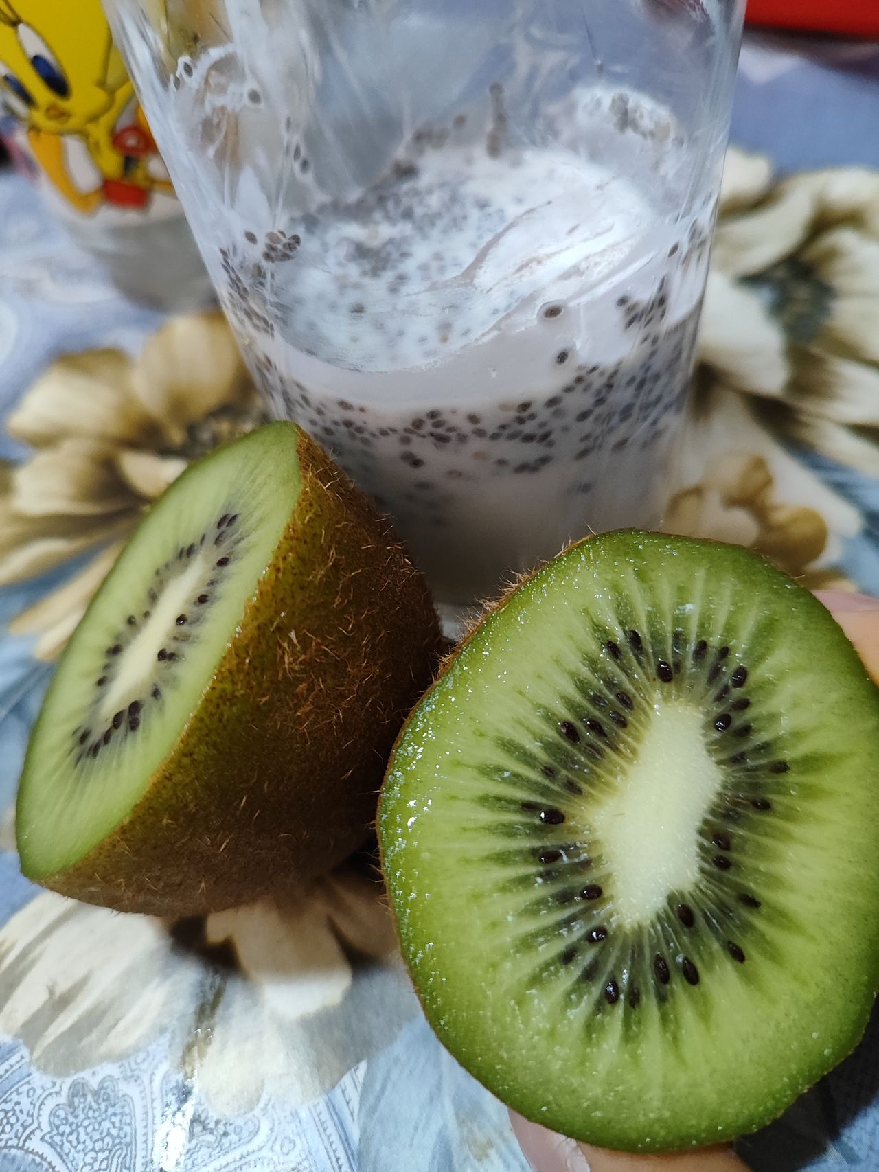 Maria Fernanda Neves-7