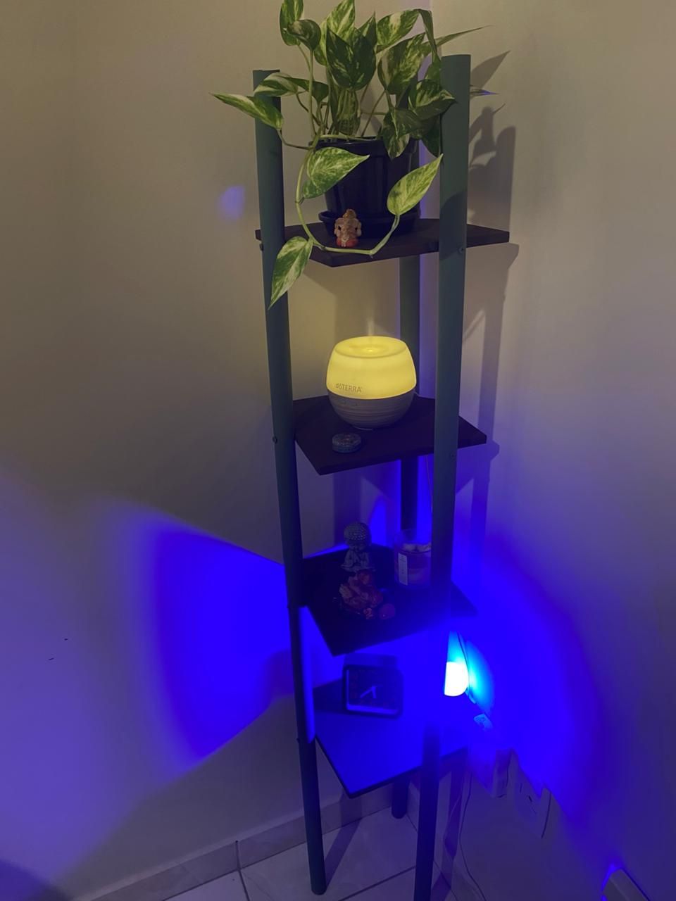 Mariangela  Angeluci Siqueira -5