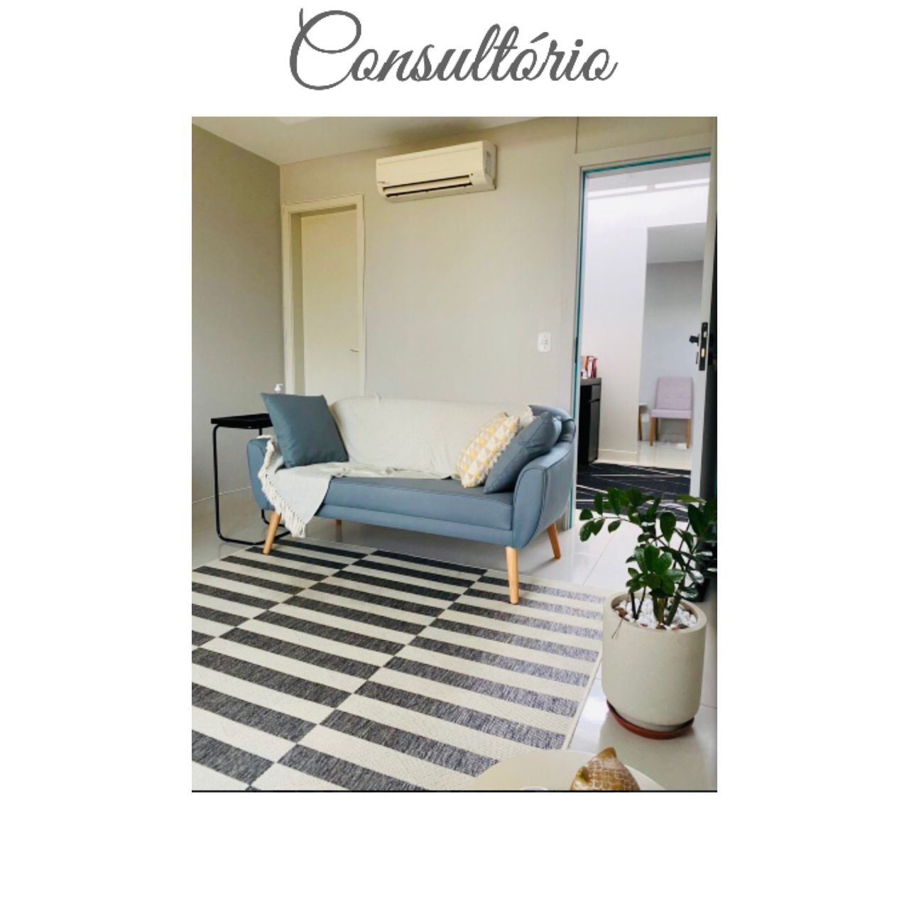 Carolina Rodrigues Santarém Muniz-0