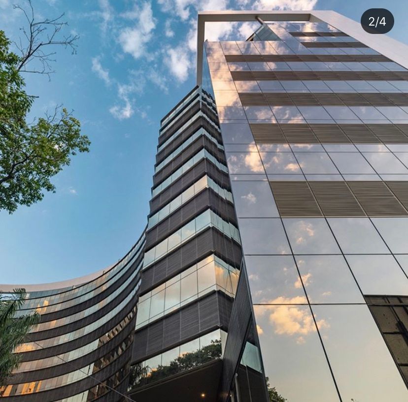 Ana Paula Pires Silva-14