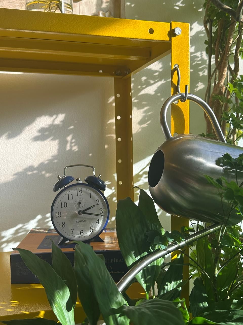 Robson De Souza Bezerra-11