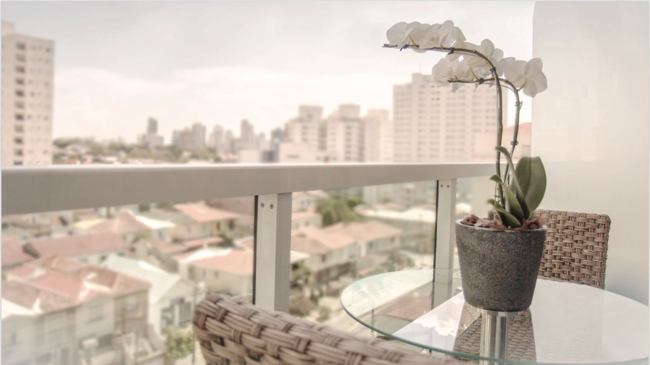 Thais Yuka Takahashi-4