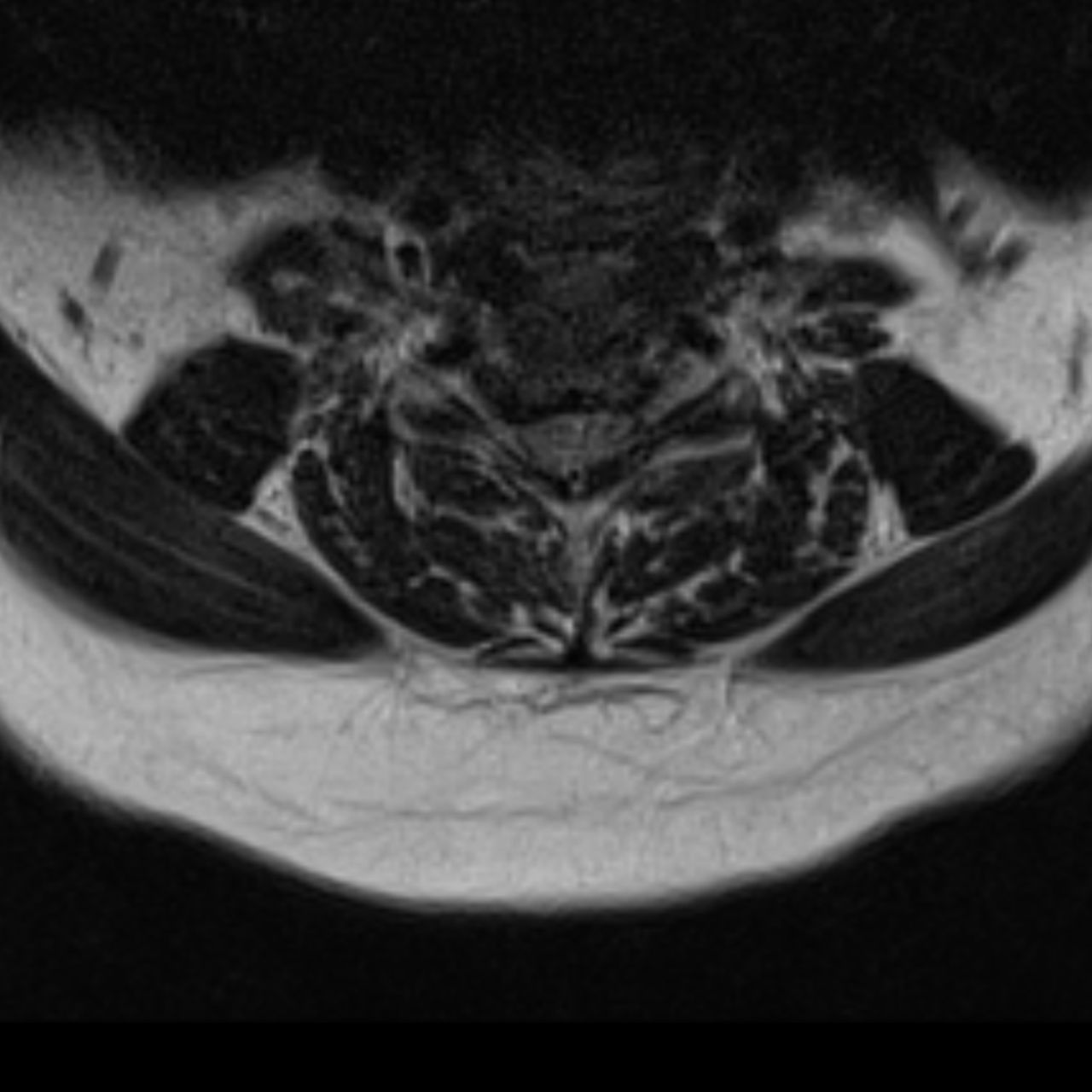 David Tafur Muñoz-1769