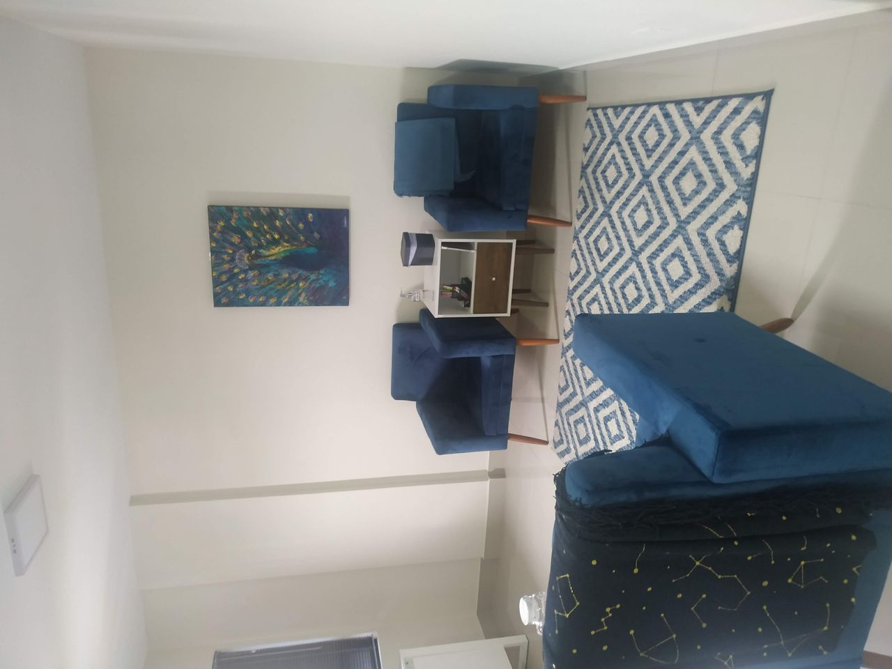 Ana Luiza Farias Ferreira-1