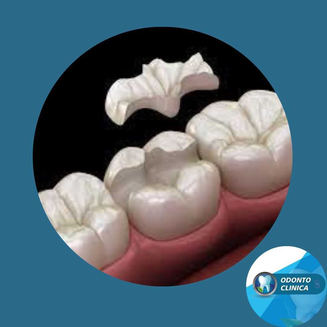 Cecilia Inés Socias Altamirano-28