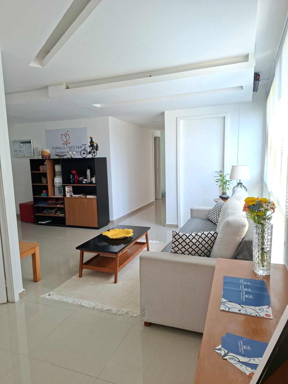 Fabiana  Chiavegato Boa De Souza-3