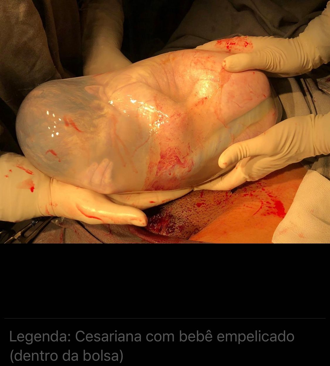 Leonor França Soares-3