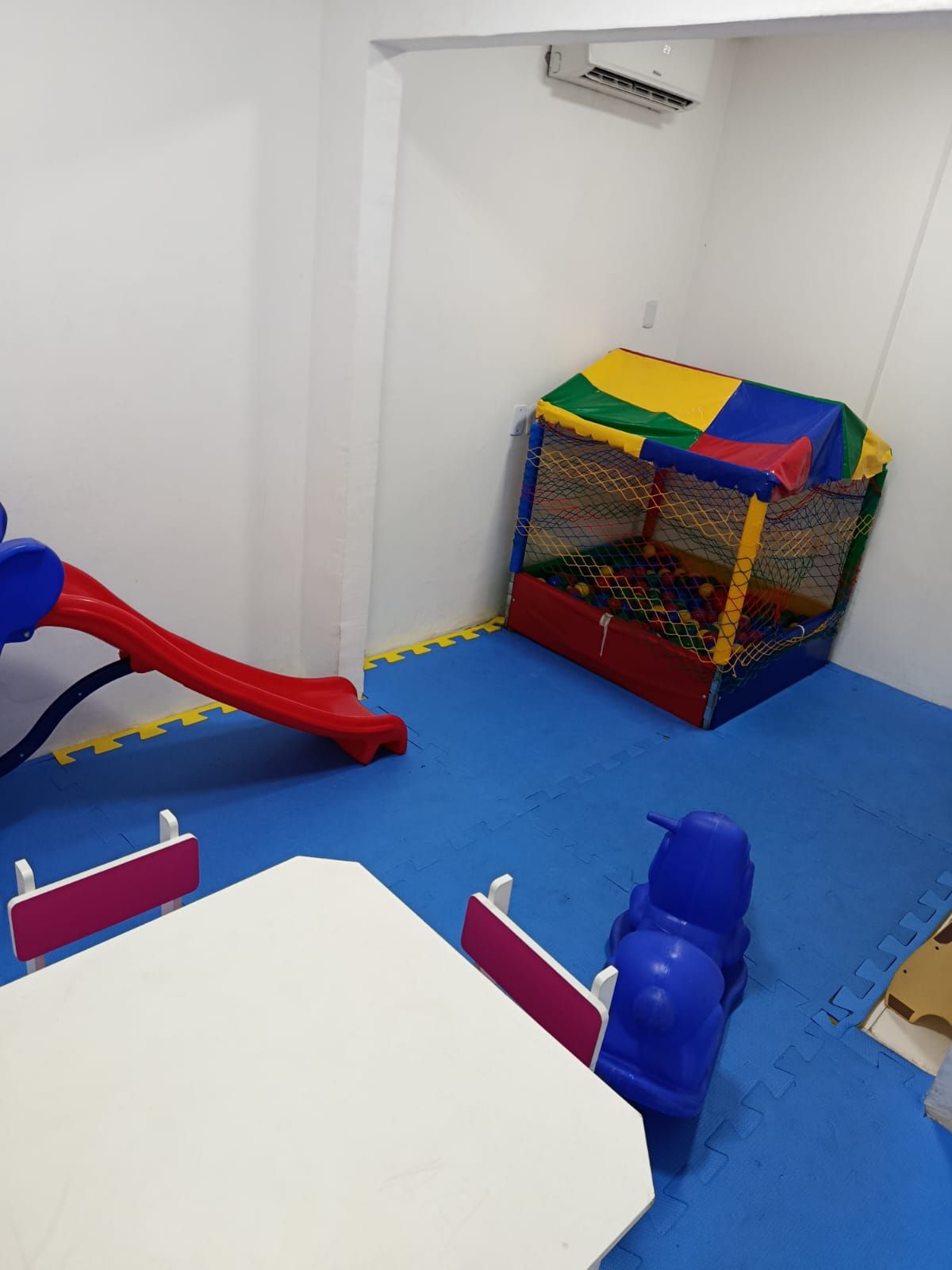 Pedro Colares Pantoja-13