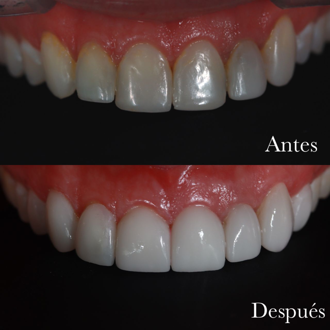 Carolina Guzmán Barbosa-22