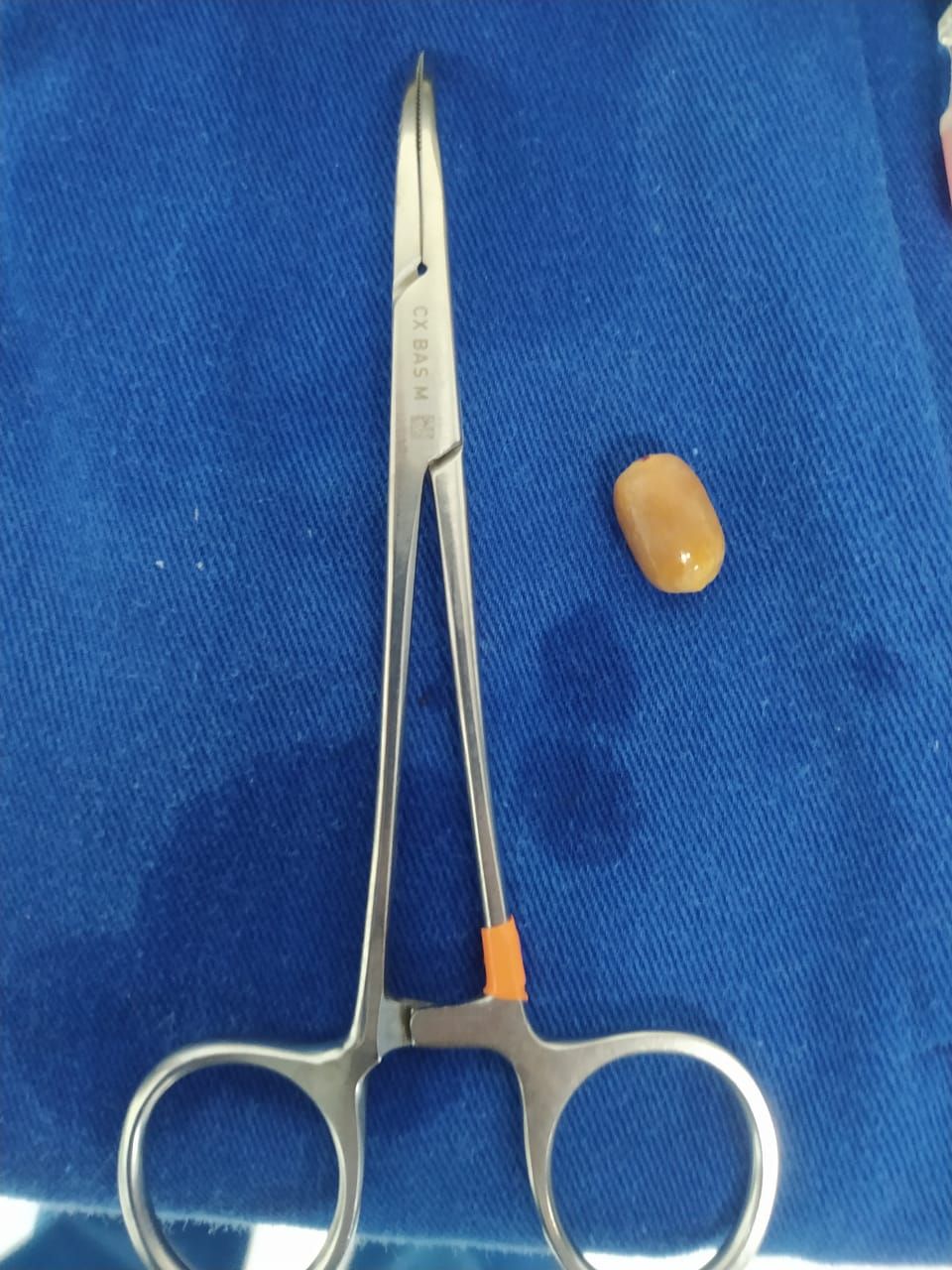 Hamilton Franco Filho-45