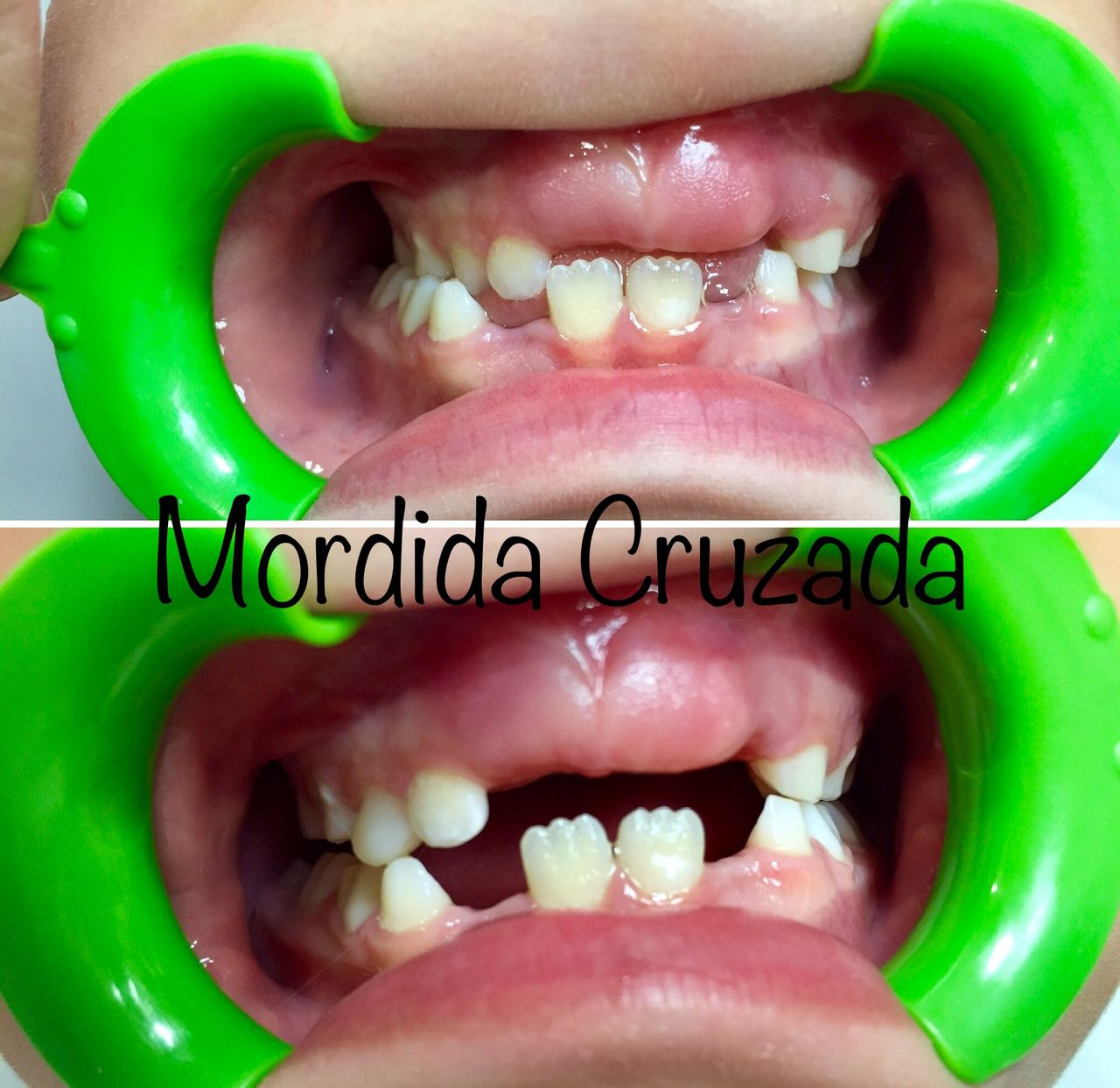 Viviane Cristina Precioso Tridapalli-4