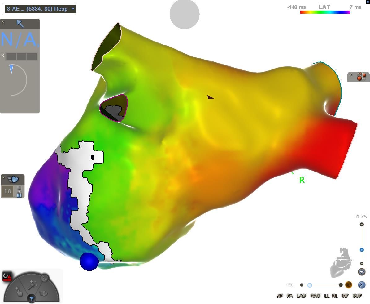 Vitor Bastos Lovisi-12