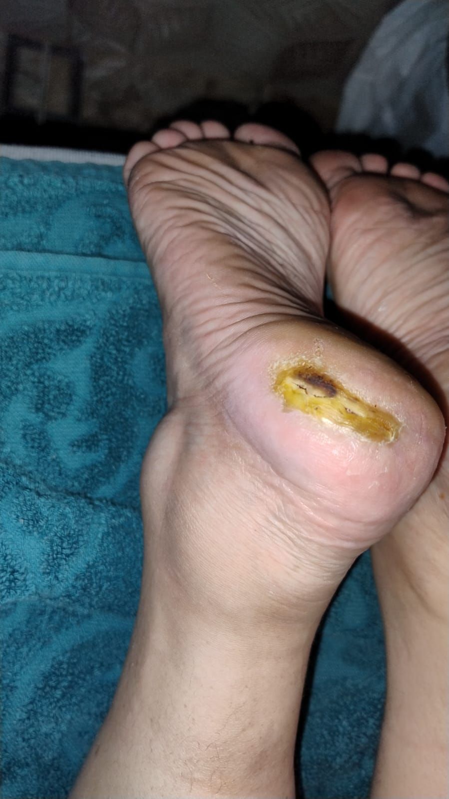 Claudia Motta Mussi-2