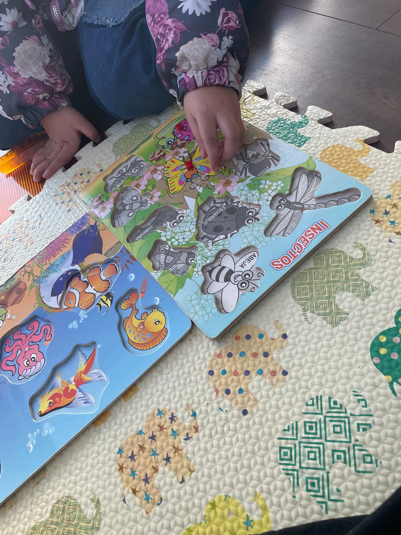 Paola Andrea Zamorano Salinas-6