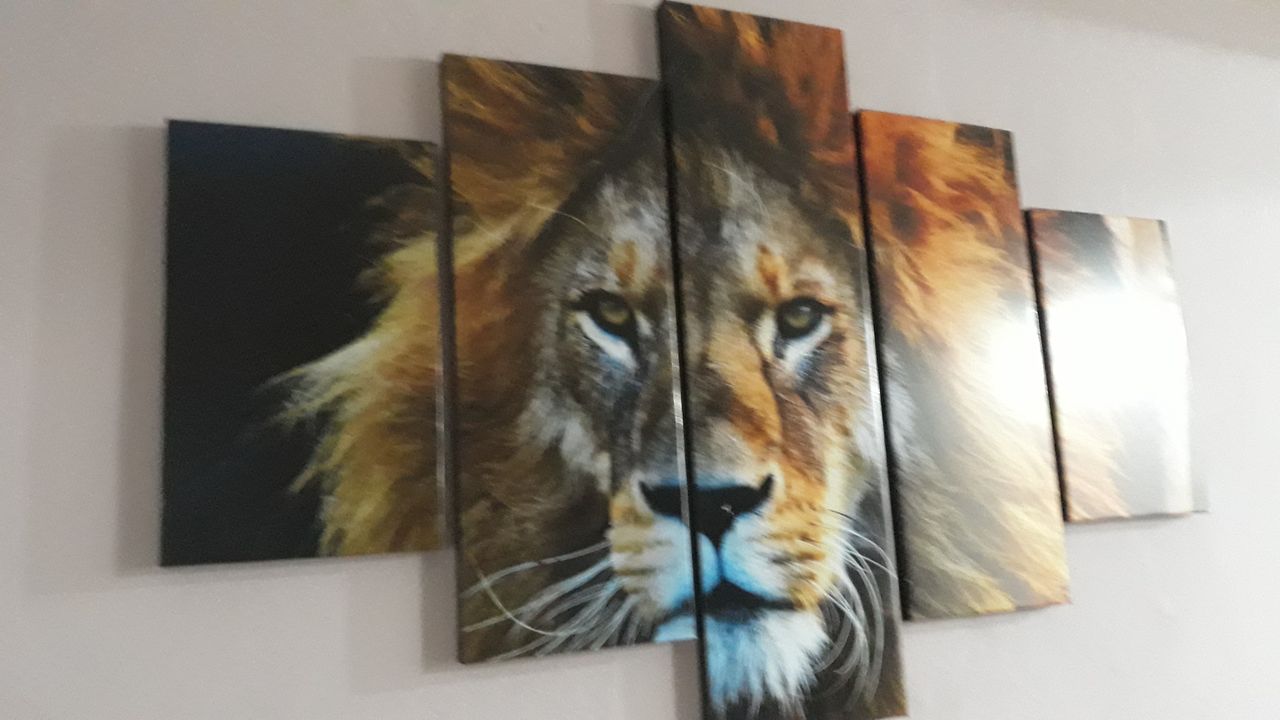 Sergio Gustavo Giosa-12