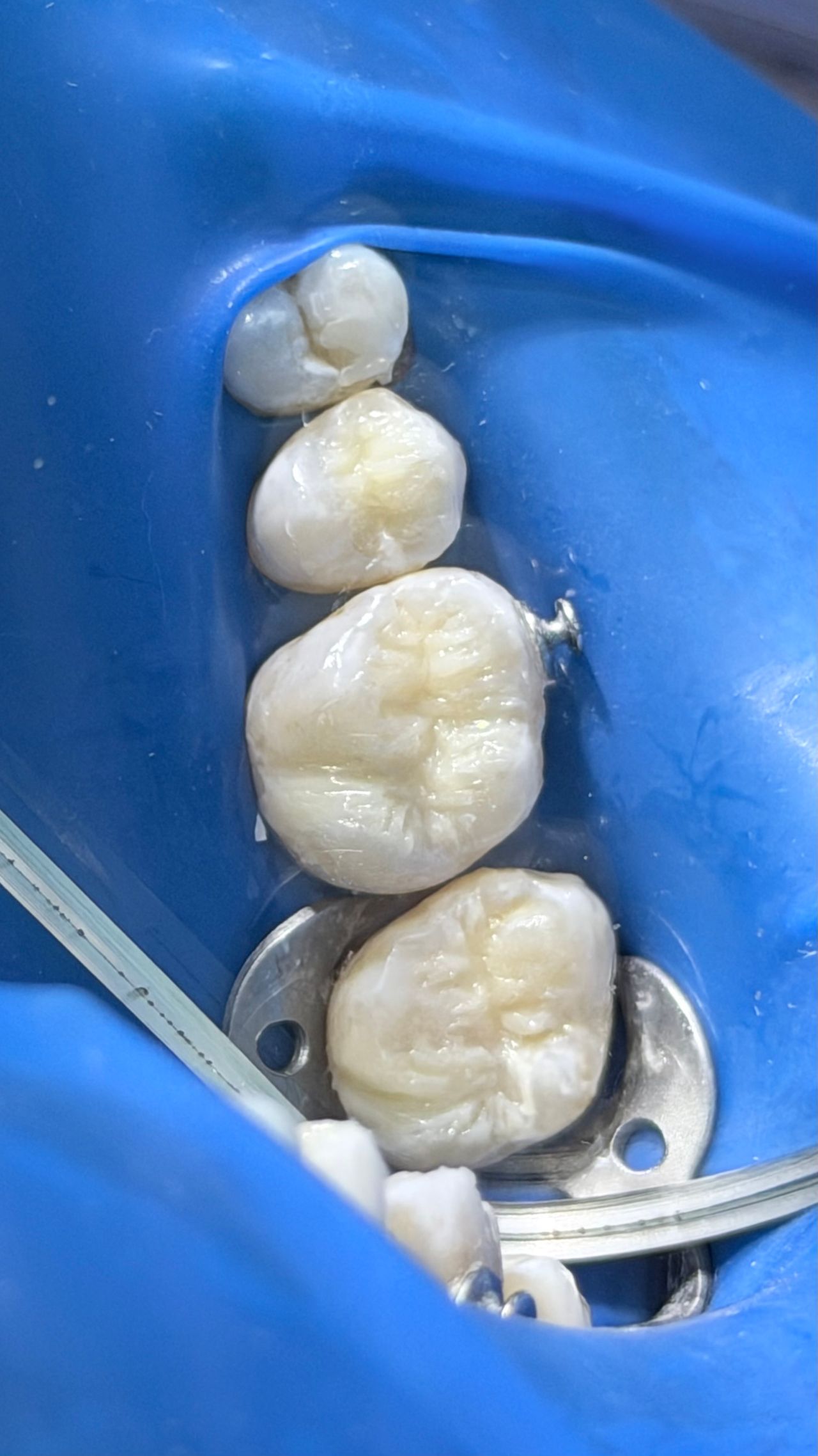 Melissa Vargas Castellanos-25