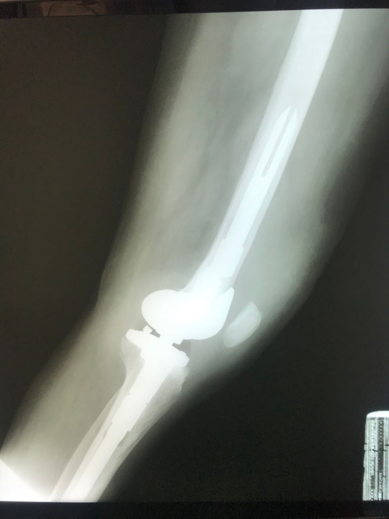 Eduardo Ramalho De Moraes-4