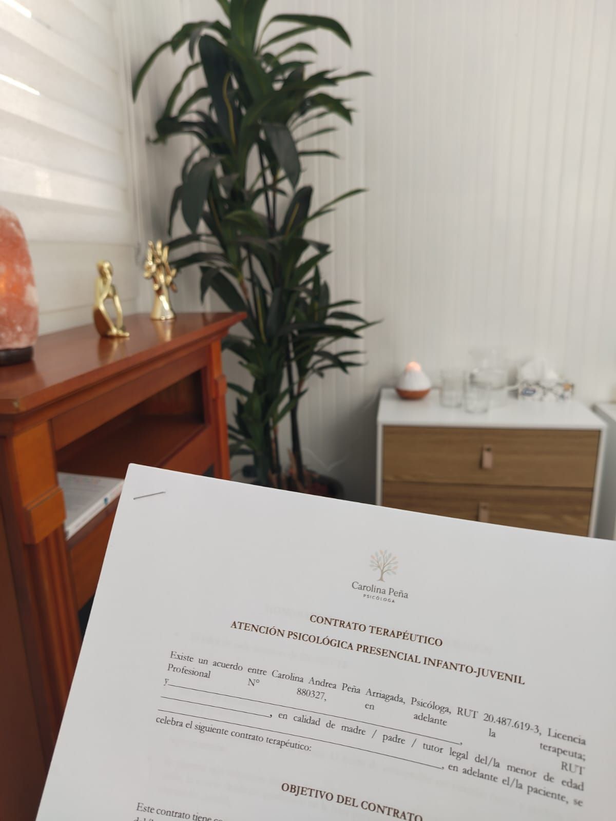 Carolina Peña Arriagada-4