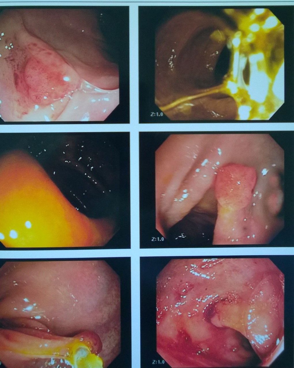 Paulo De Azeredo Passos Candelaria-0