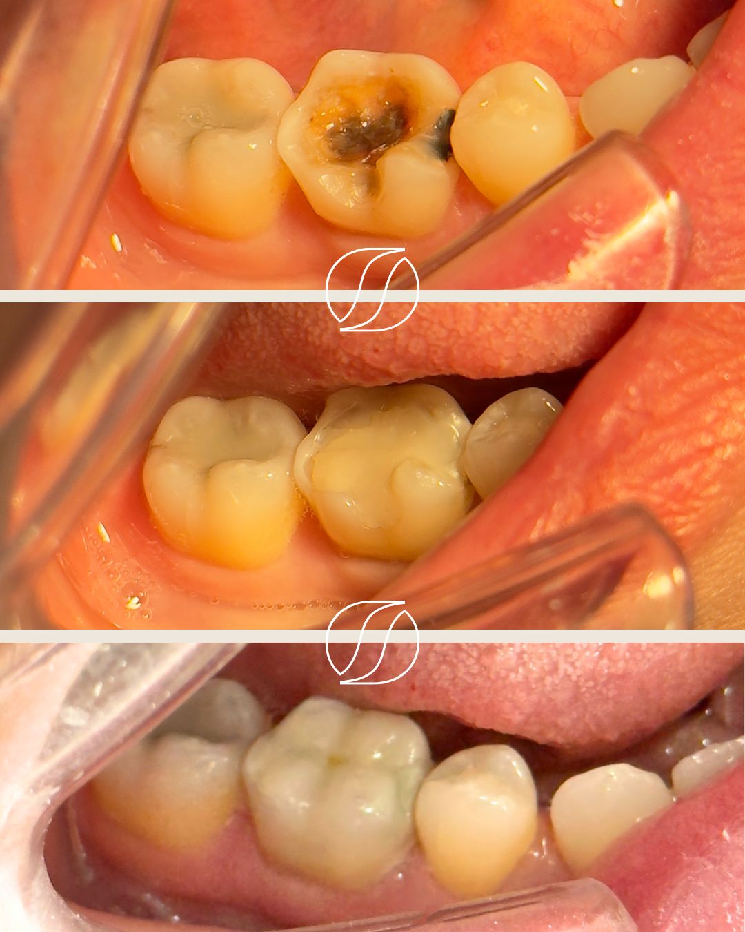 Sasha    Dantas De Jesus-5