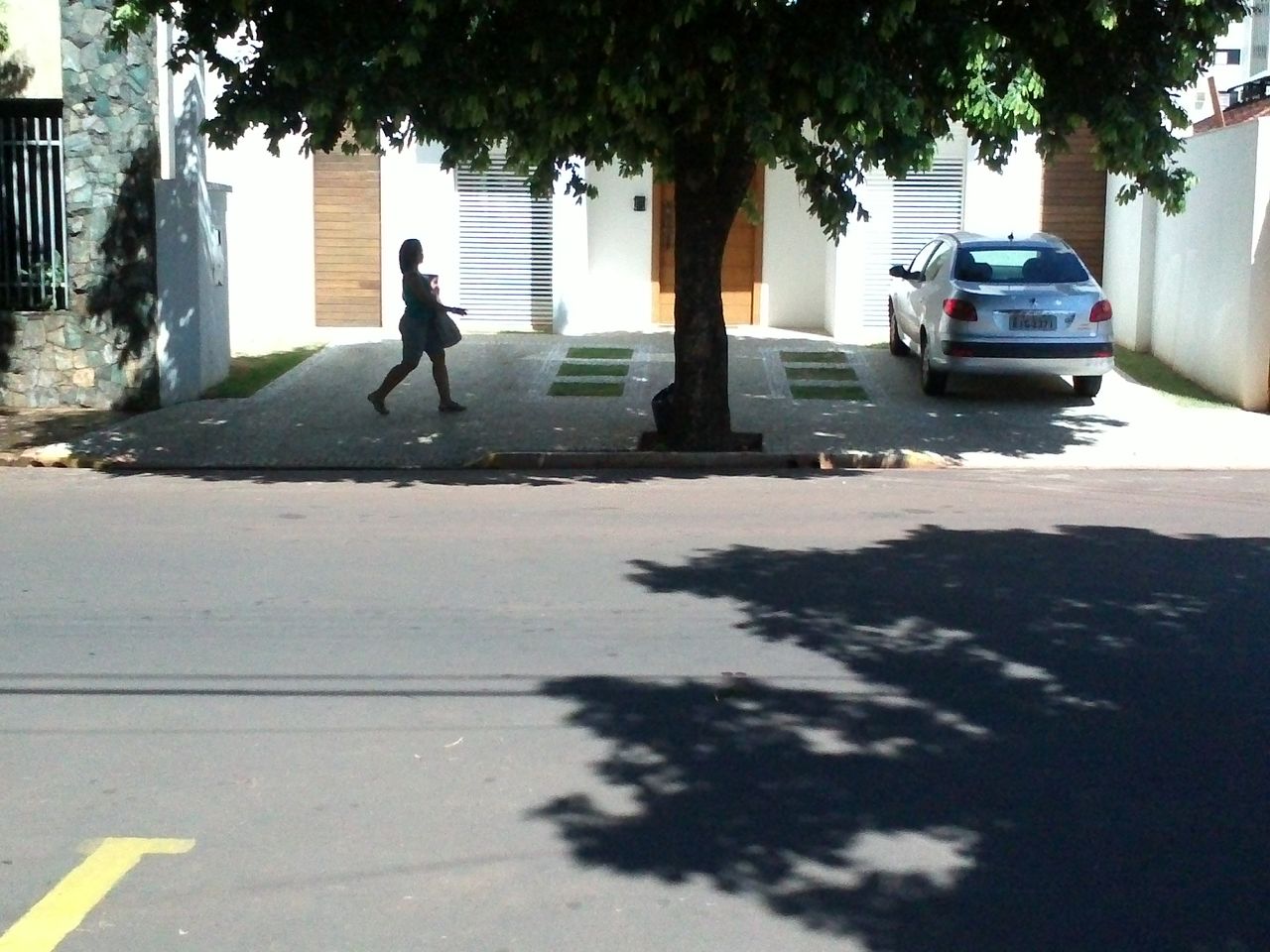 Claudia Maria Villela Brandao Benez-0